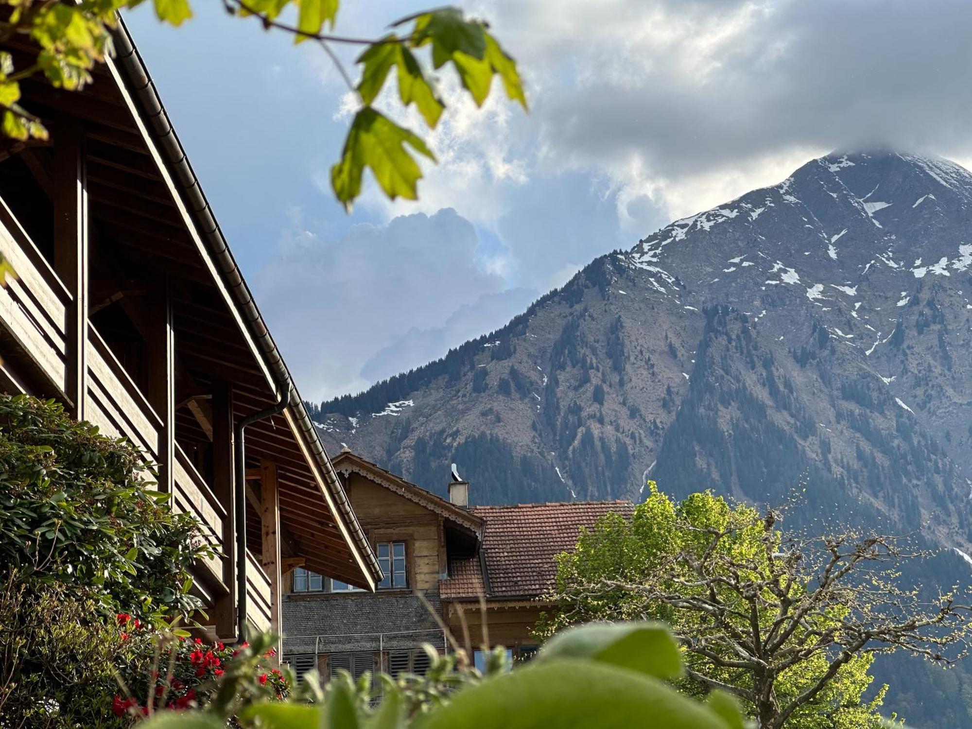 Hotel Aeschipark Aeschi Bei Spiez Экстерьер фото