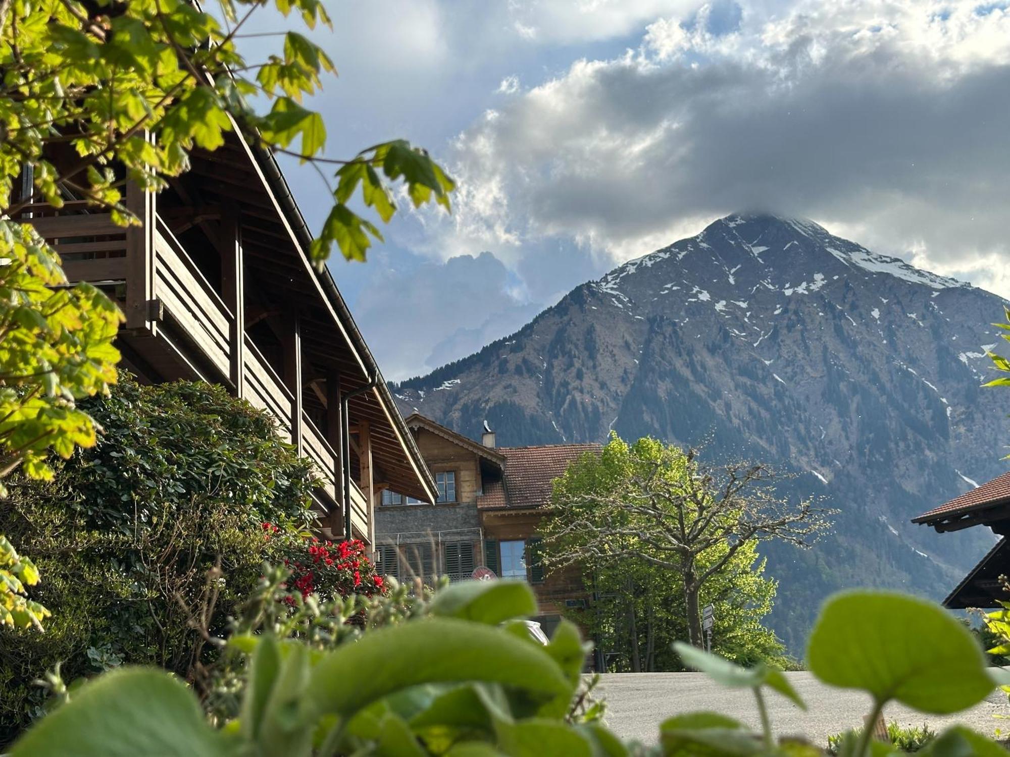 Hotel Aeschipark Aeschi Bei Spiez Экстерьер фото